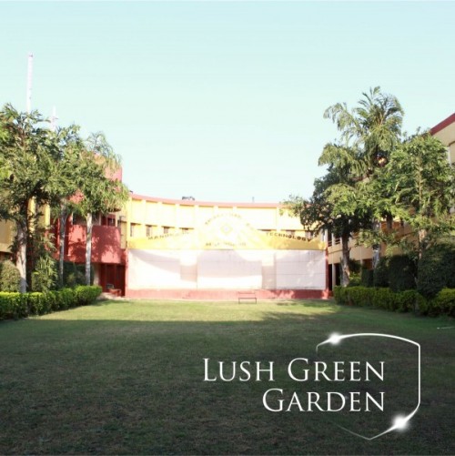 Lush Green Garden Lush Green Garden