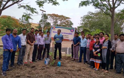 Tree plantation program