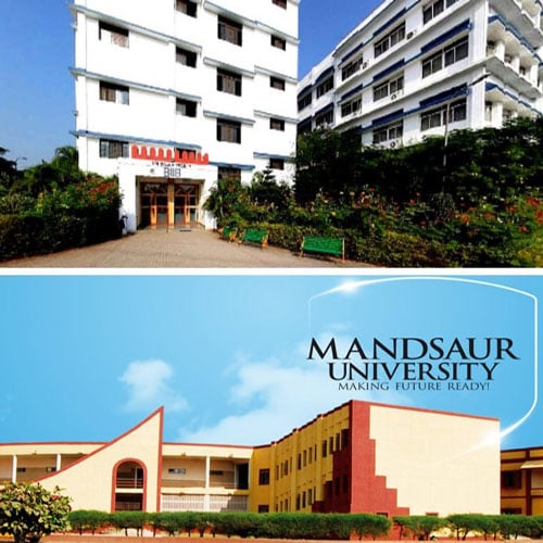 MOU Between Balaji Institute of International Business (BIIB), Pune and Mandsaur University, Mandsaur MOU Between Balaji Institute of International Business (BIIB), Pune and Mandsaur University, Mandsaur