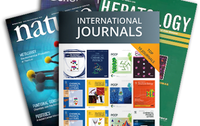 Paper Published in International Journal and a chapter published
